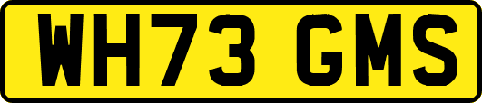 WH73GMS