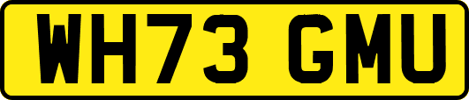 WH73GMU