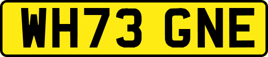 WH73GNE