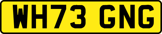 WH73GNG