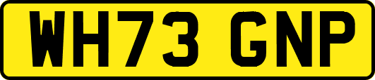 WH73GNP