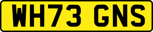 WH73GNS