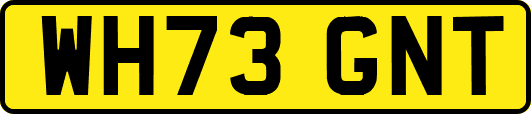 WH73GNT