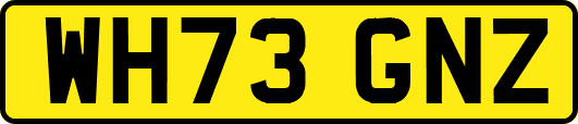 WH73GNZ