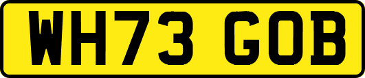 WH73GOB
