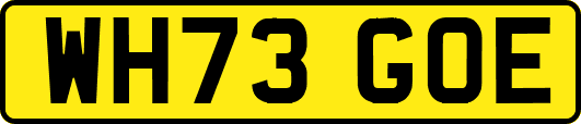 WH73GOE