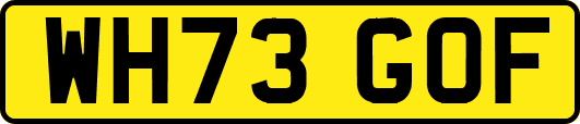 WH73GOF