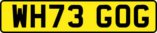 WH73GOG