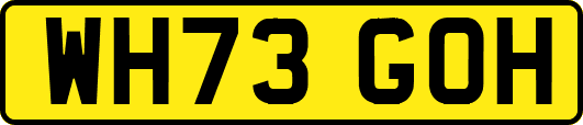 WH73GOH
