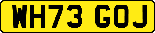 WH73GOJ