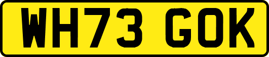 WH73GOK