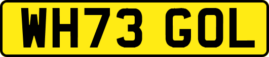 WH73GOL