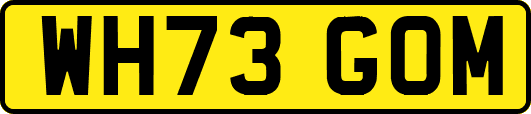 WH73GOM