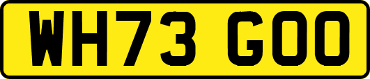 WH73GOO