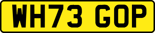 WH73GOP