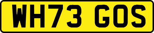 WH73GOS