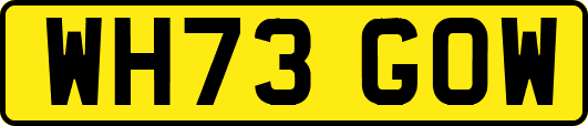 WH73GOW