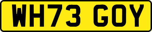WH73GOY