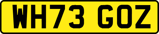 WH73GOZ