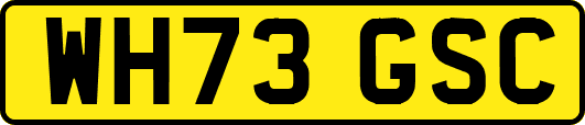 WH73GSC