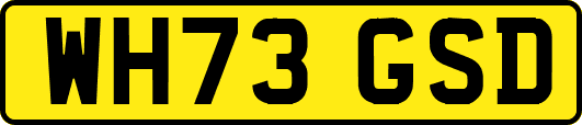 WH73GSD