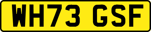 WH73GSF
