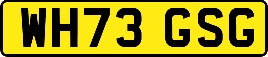 WH73GSG
