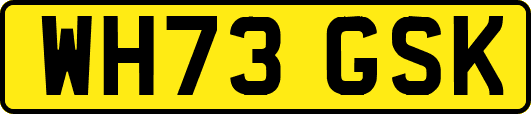 WH73GSK