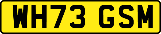 WH73GSM