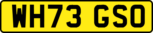 WH73GSO
