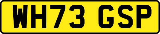WH73GSP