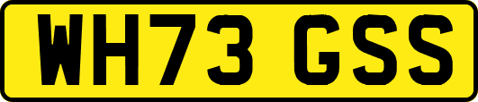 WH73GSS