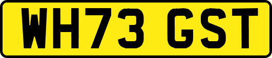 WH73GST