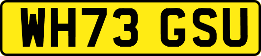 WH73GSU