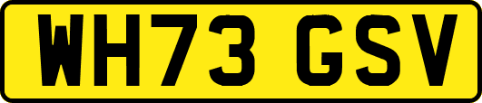 WH73GSV
