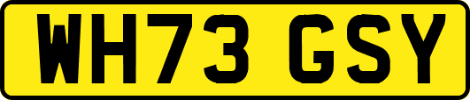 WH73GSY