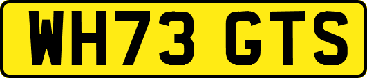 WH73GTS