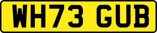 WH73GUB