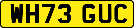 WH73GUC