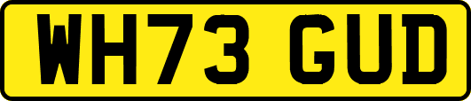 WH73GUD
