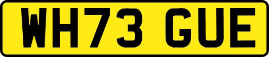 WH73GUE
