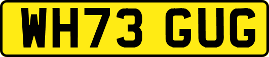 WH73GUG