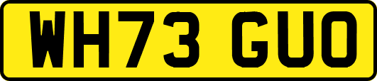 WH73GUO