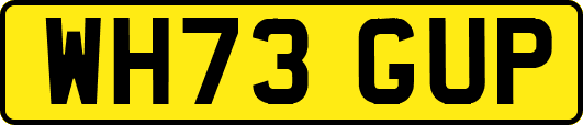 WH73GUP