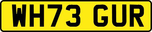 WH73GUR