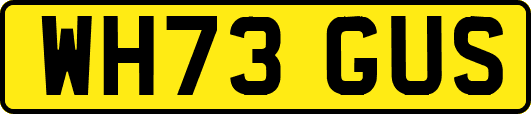 WH73GUS