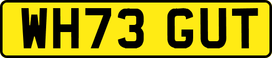 WH73GUT
