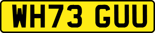 WH73GUU