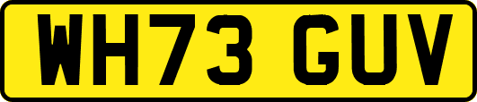 WH73GUV