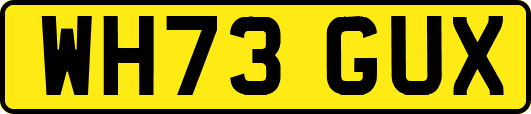 WH73GUX